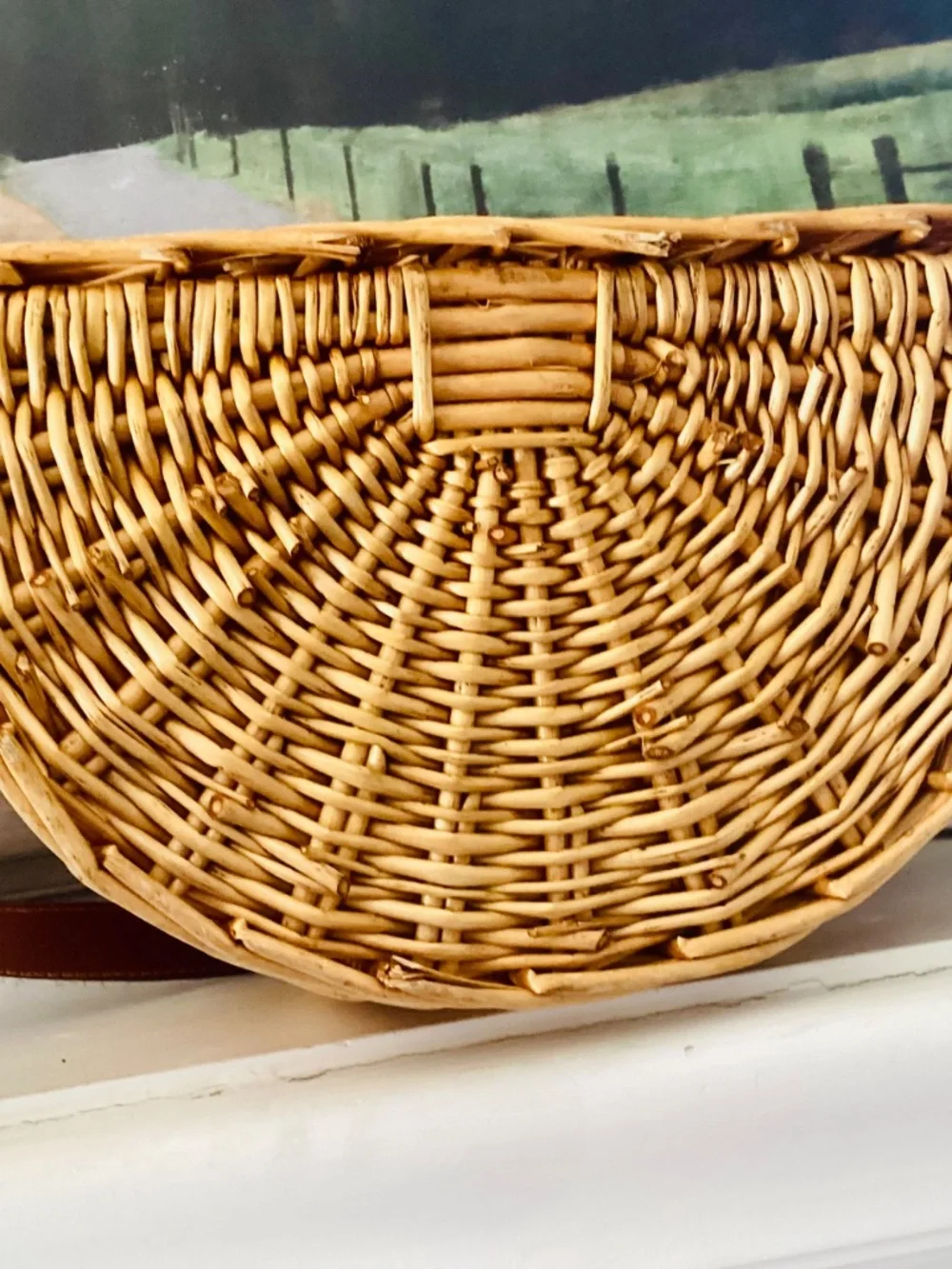 Wicker Mushroom Foraging Basket Crossbody Bag W/lid Shoulder Strap Storage Decor